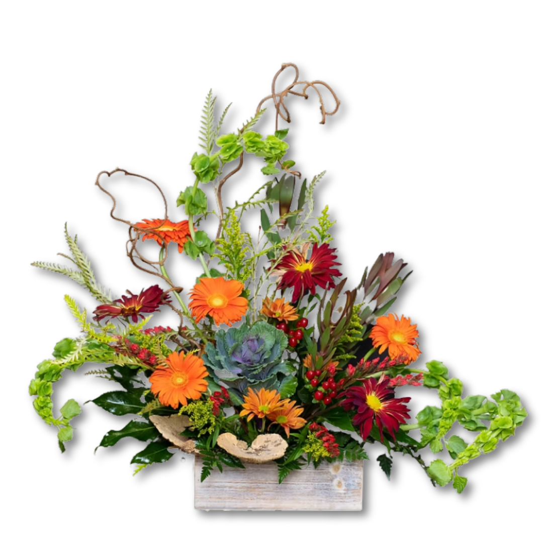 Autumn Garden