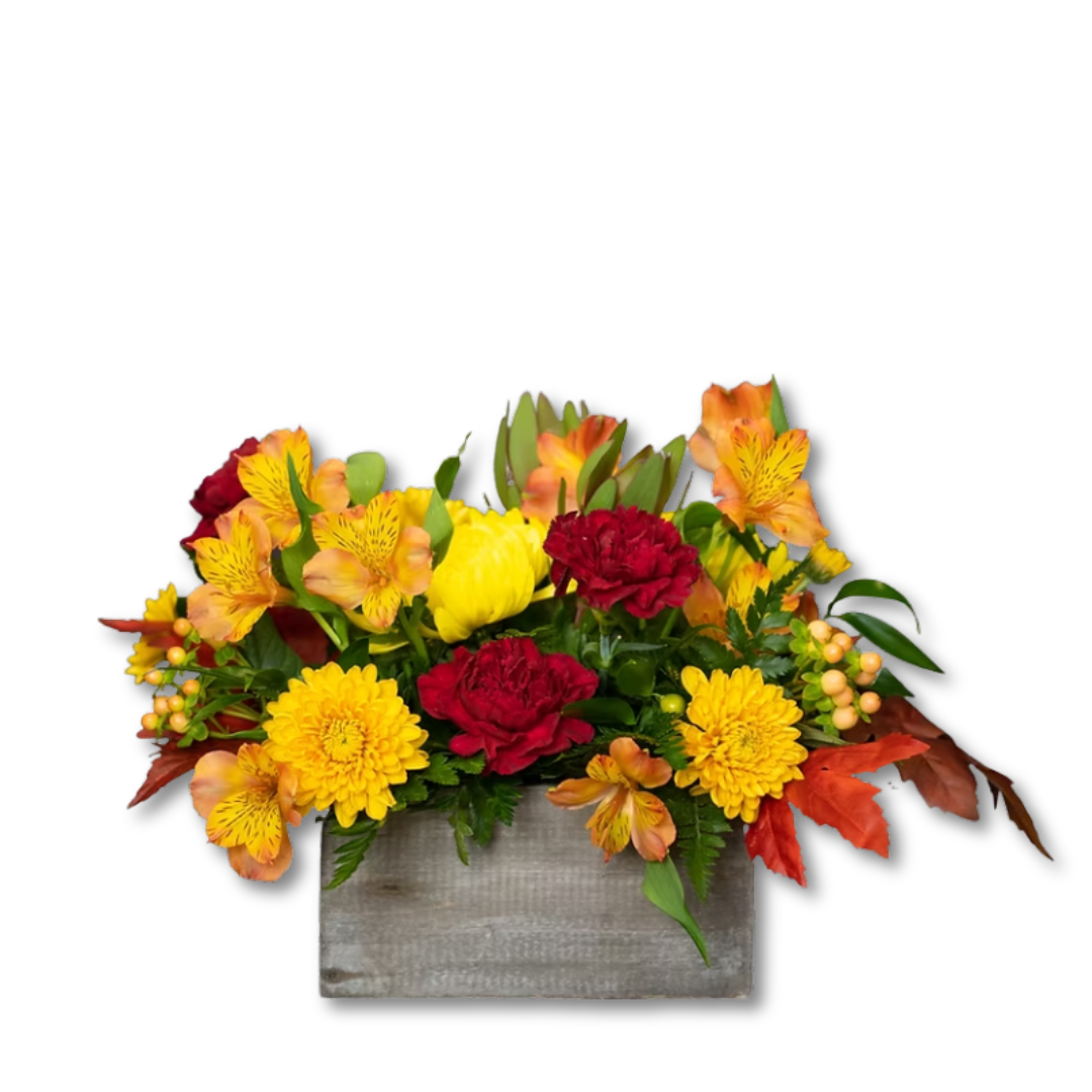Fall Blessings
