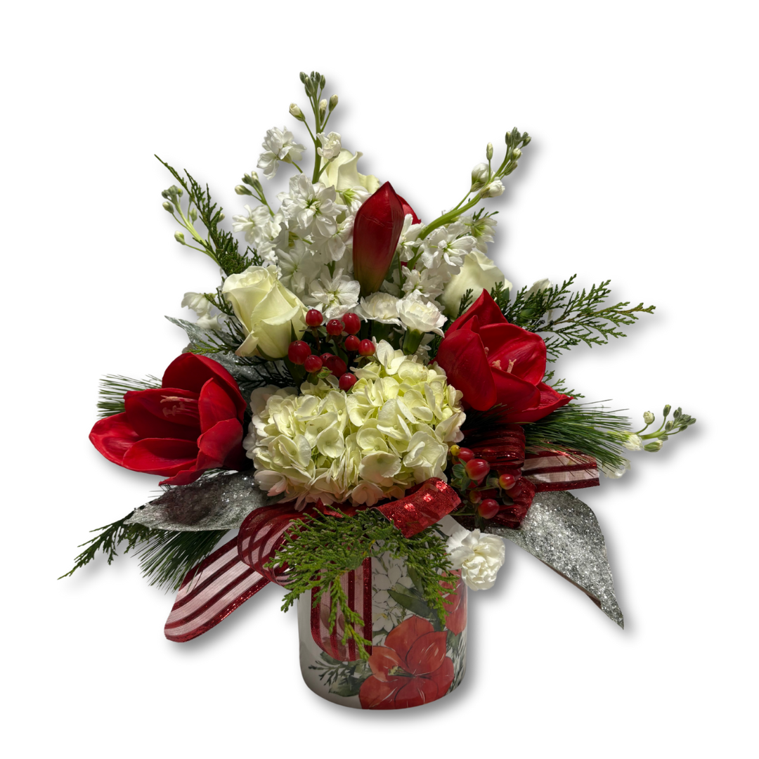 Elegant Amaryllis