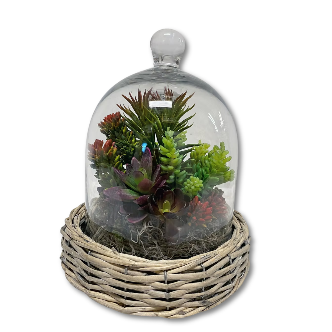 Silk Succulent Garden