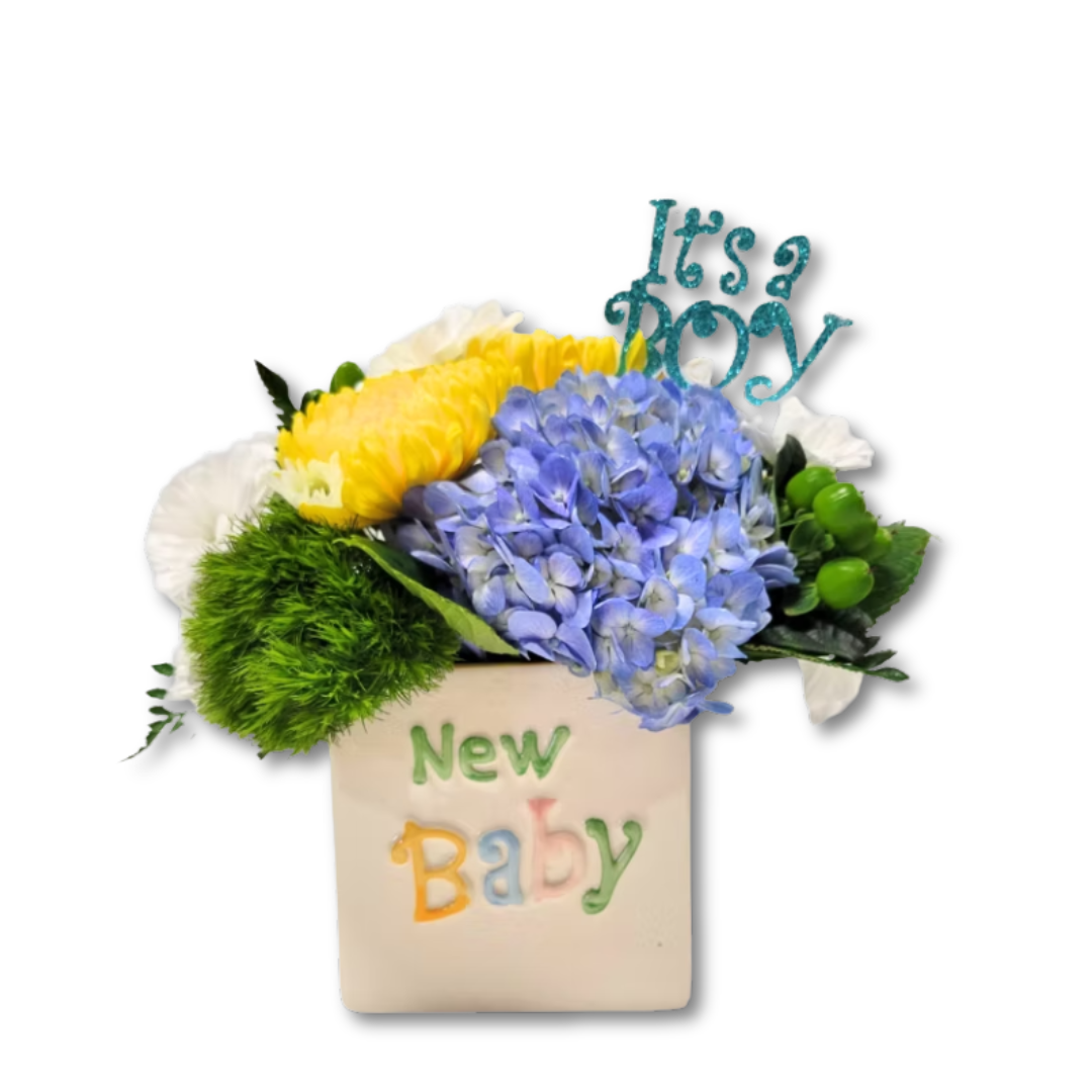 New Baby It's A Boy!