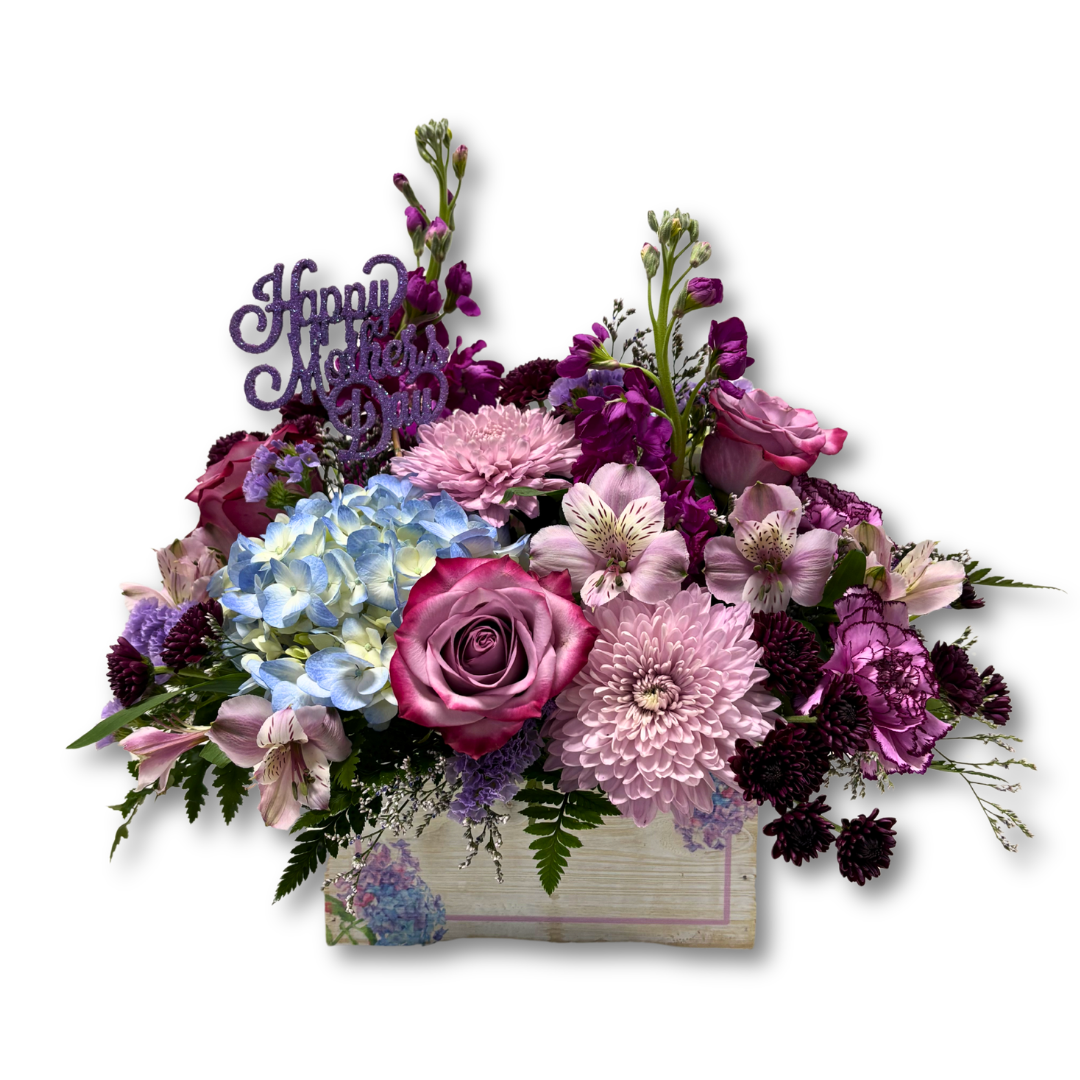 Lavender Dreams
