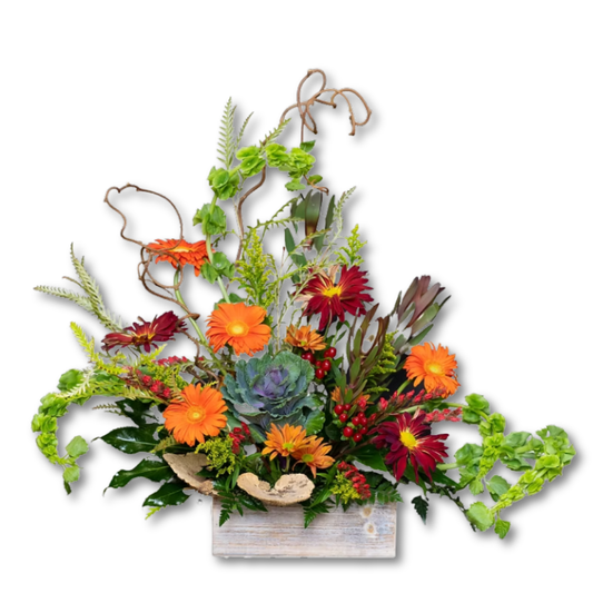 Autumn Garden