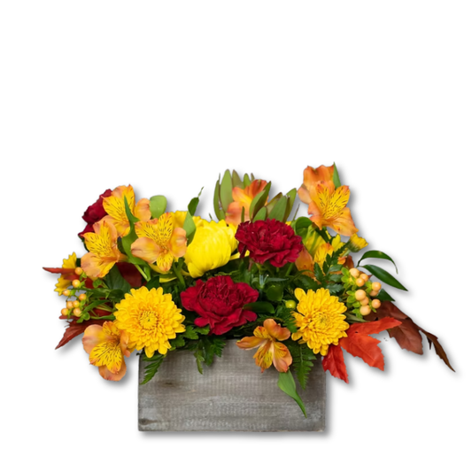 Fall Blessings