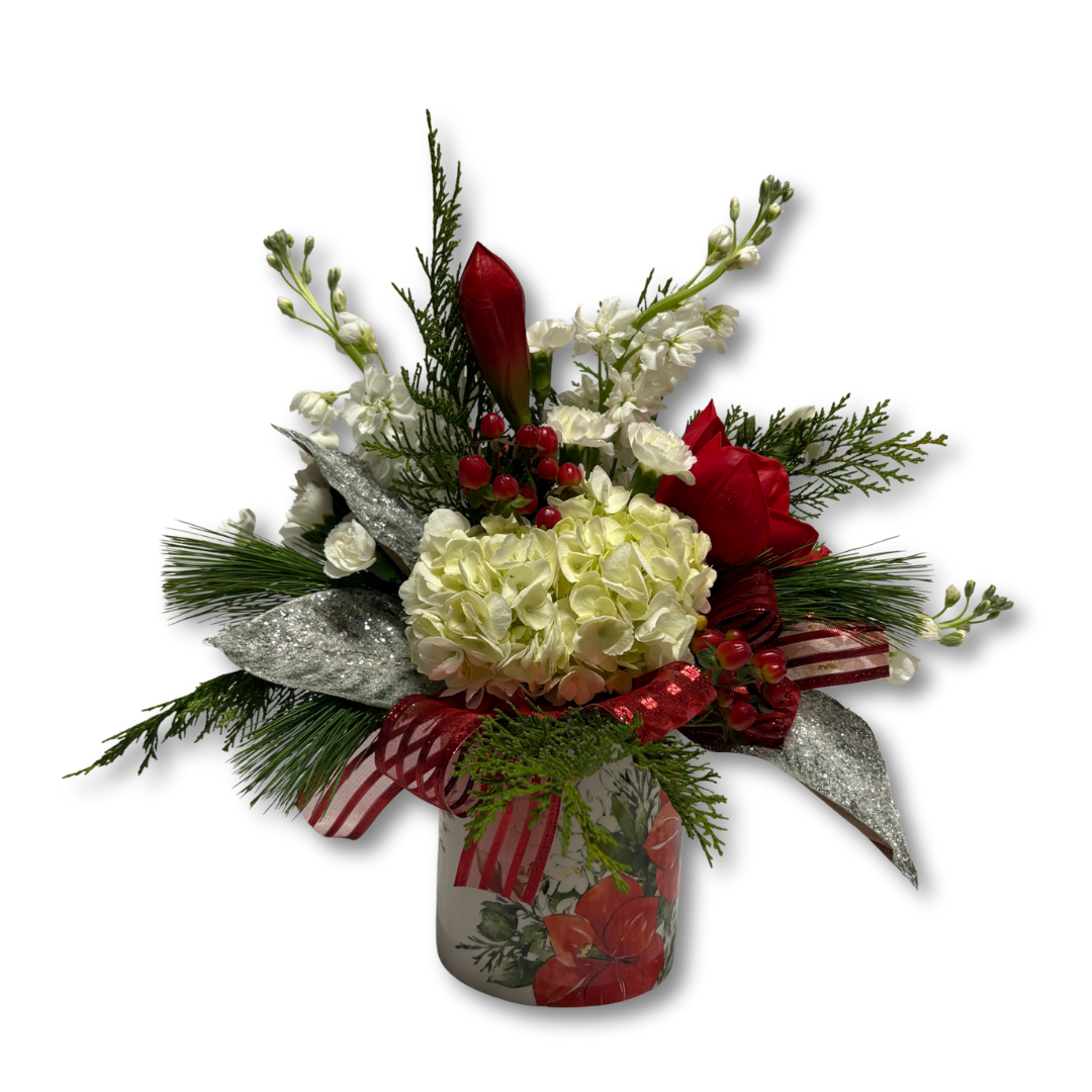 Elegant Amaryllis
