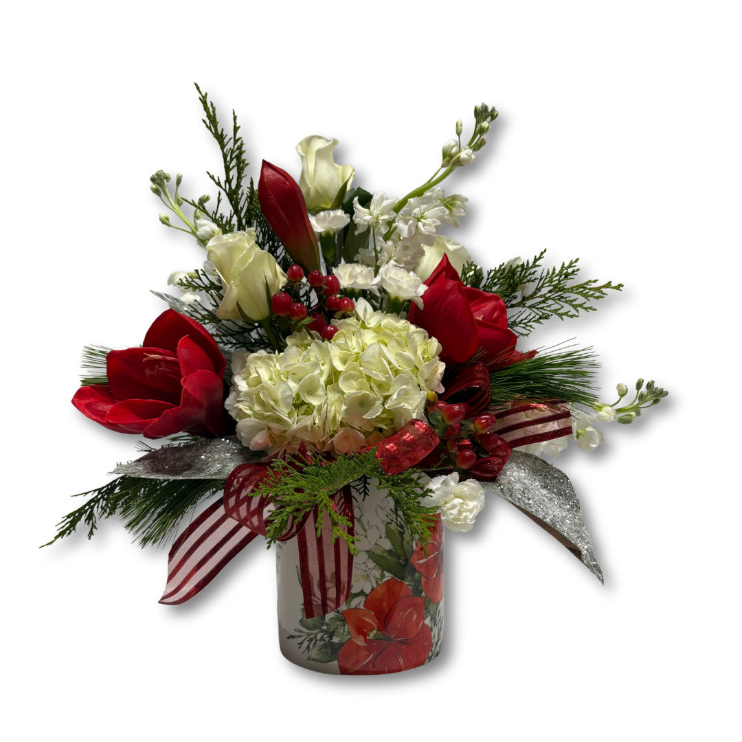 Elegant Amaryllis