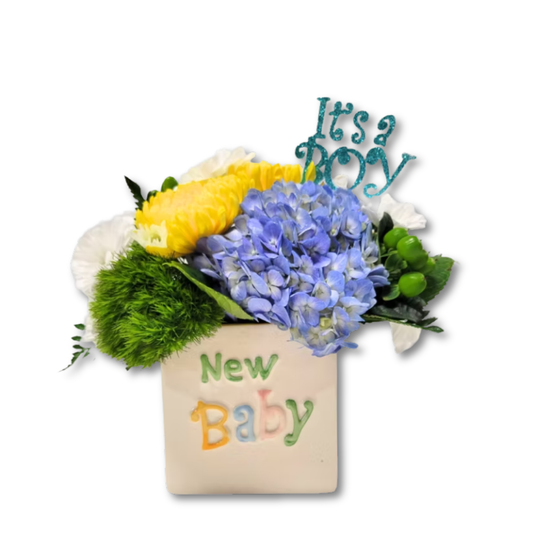 New Baby It's A Boy!