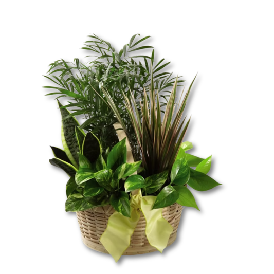 The FTD® French Garden™